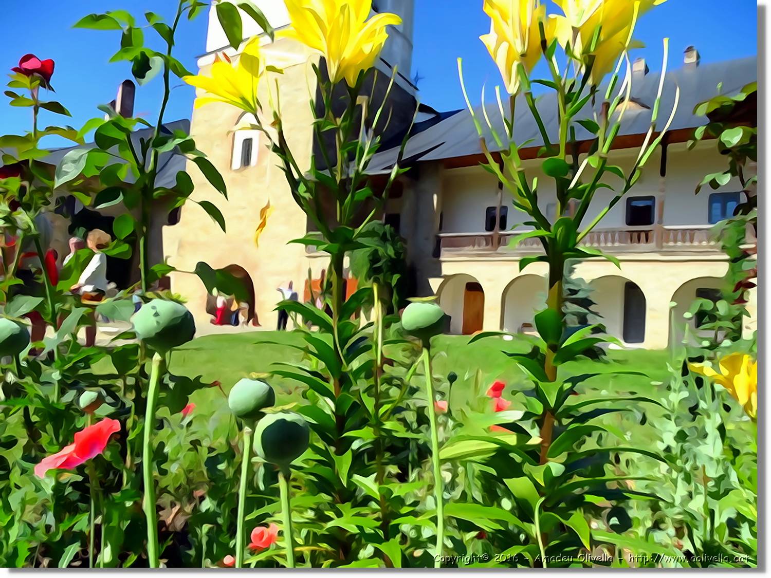 Flors_032.jpg