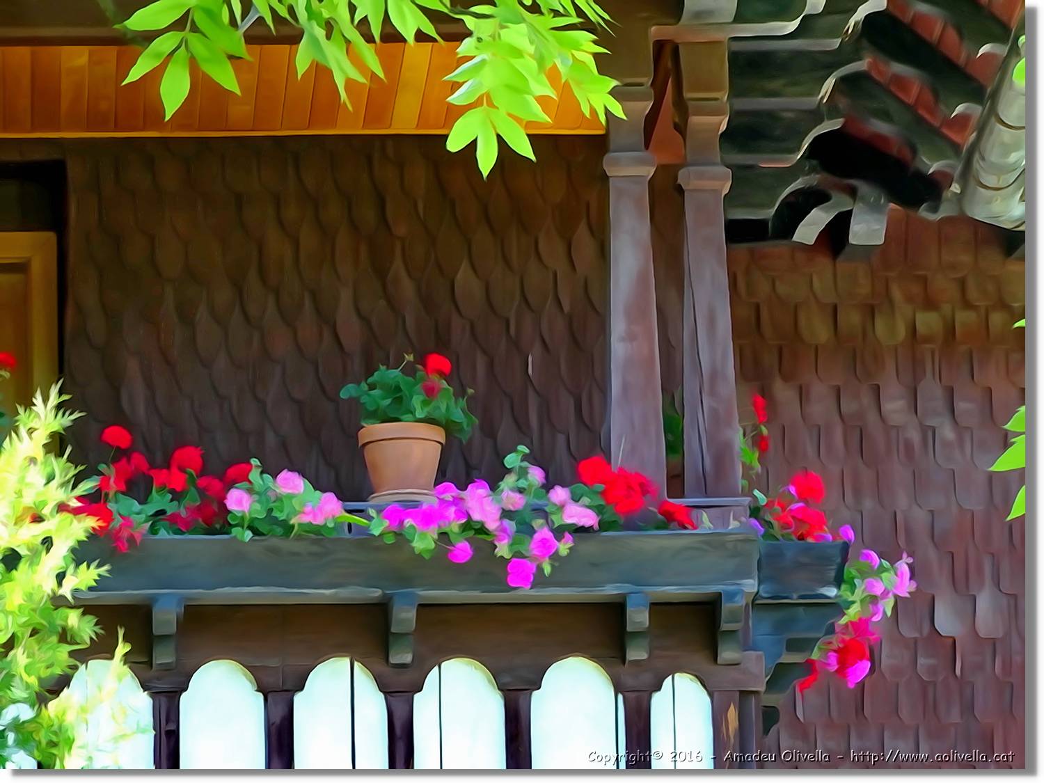 Flors_050.jpg