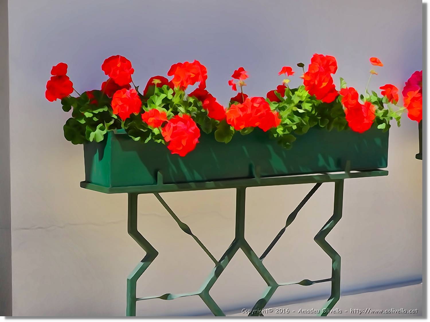 Flors_053.jpg