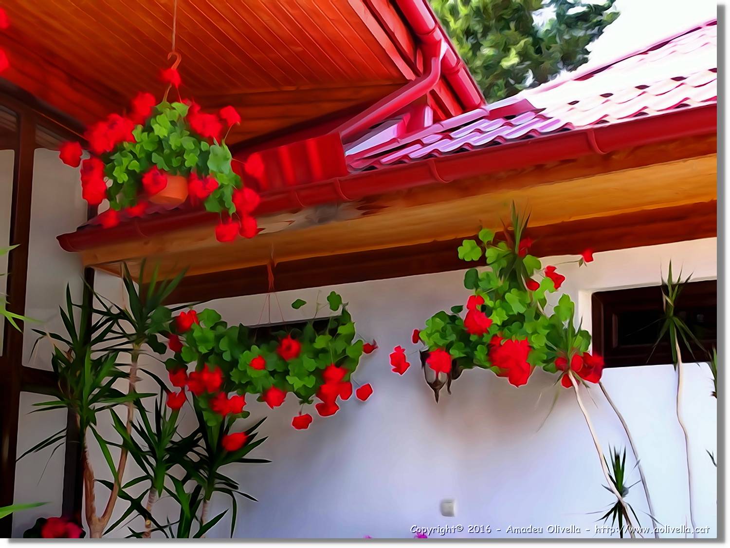Flors_055.jpg