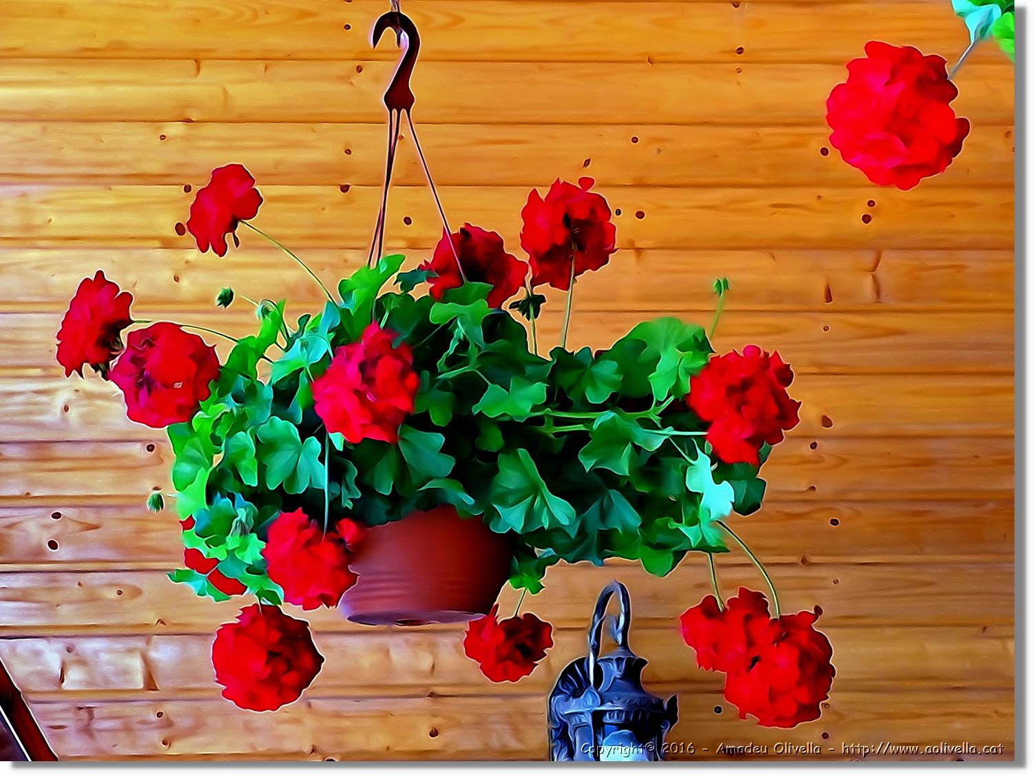 Flors_056.jpg
