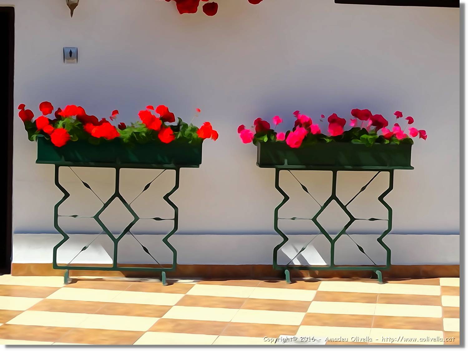 Flors_058.jpg