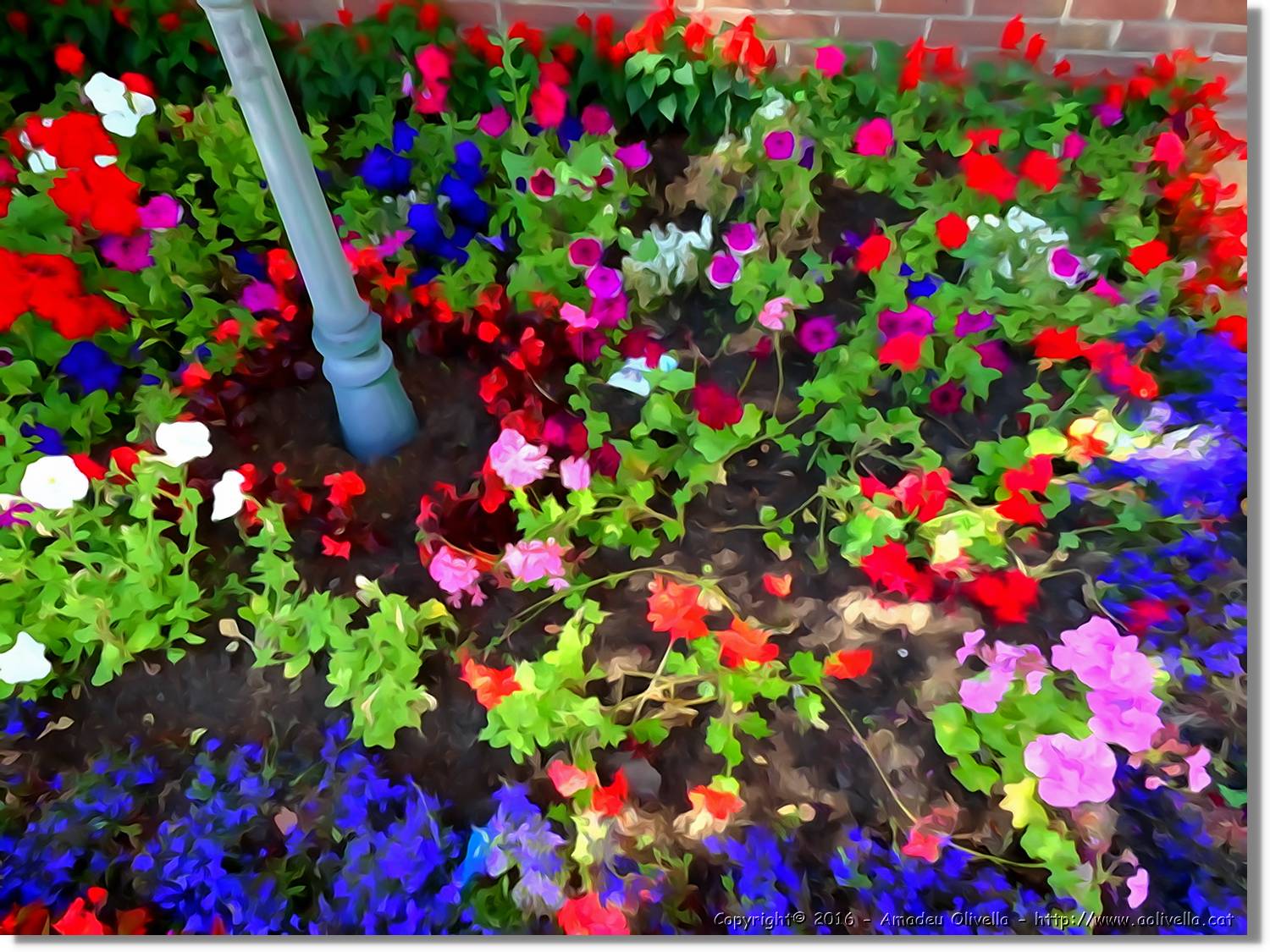 Flors_059.jpg