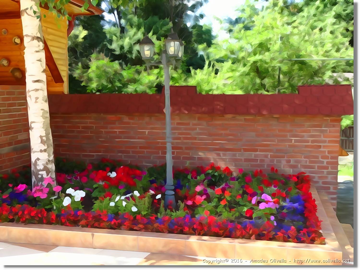 Flors_061.jpg
