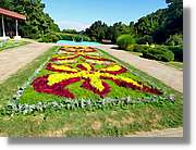 Flors_003.jpg