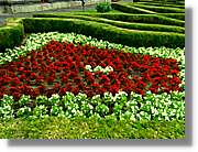 Flors_015.jpg