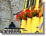 Flors_016.jpg
