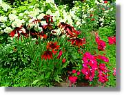 Flors_020.jpg