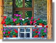 Flors_025.jpg