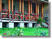 Flors_026.jpg