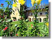 Flors_032.jpg