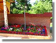 Flors_061.jpg