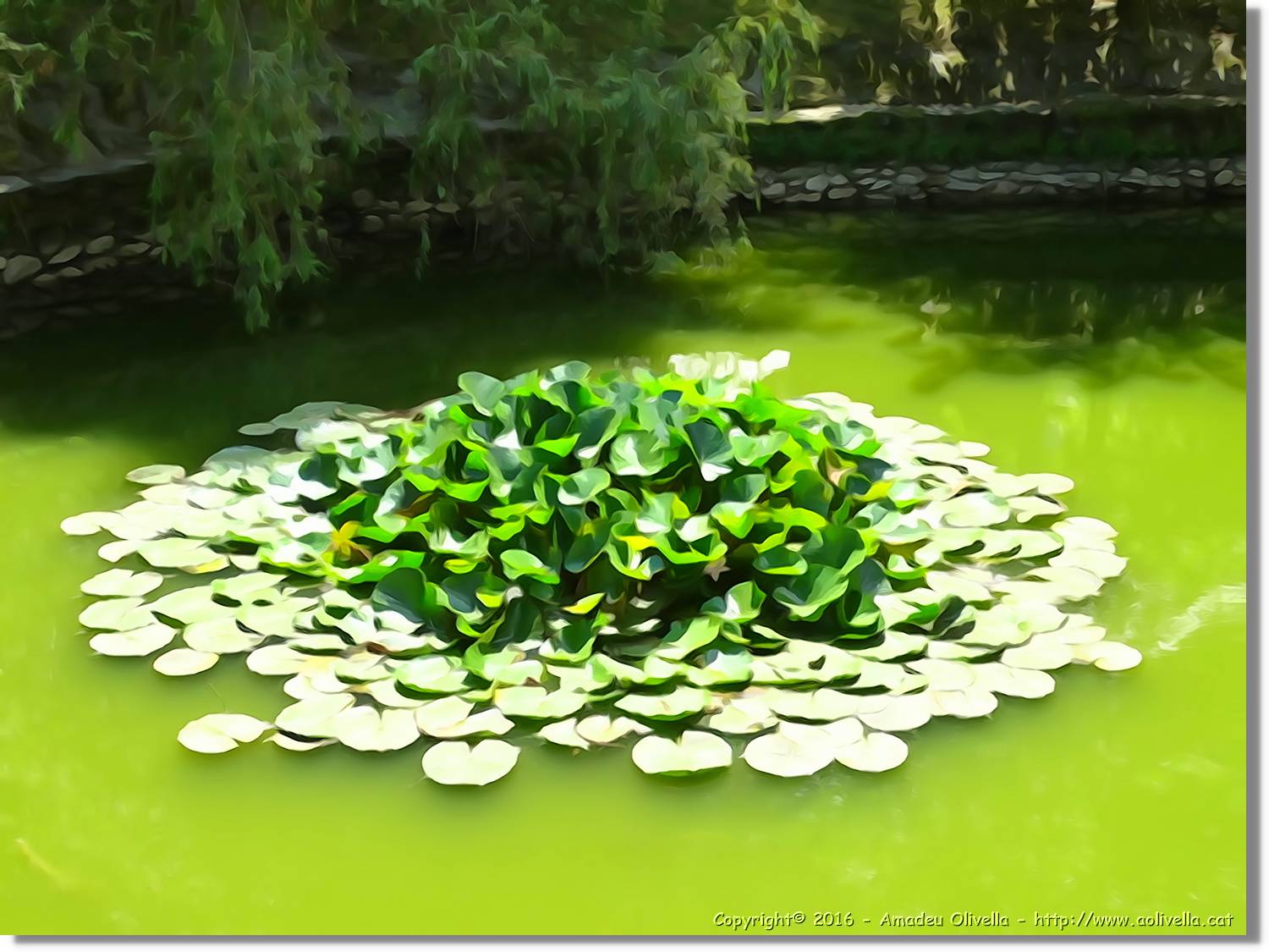 Aquarelles_210.jpg