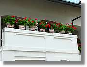 Aquarelles_027.jpg