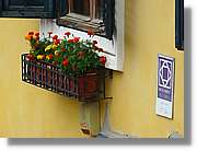 Aquarelles_055.jpg