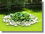 Aquarelles_210.jpg