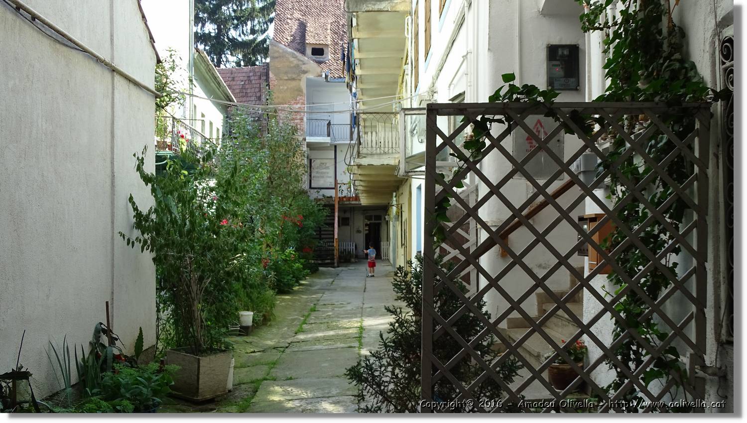 Brasov_053.jpg