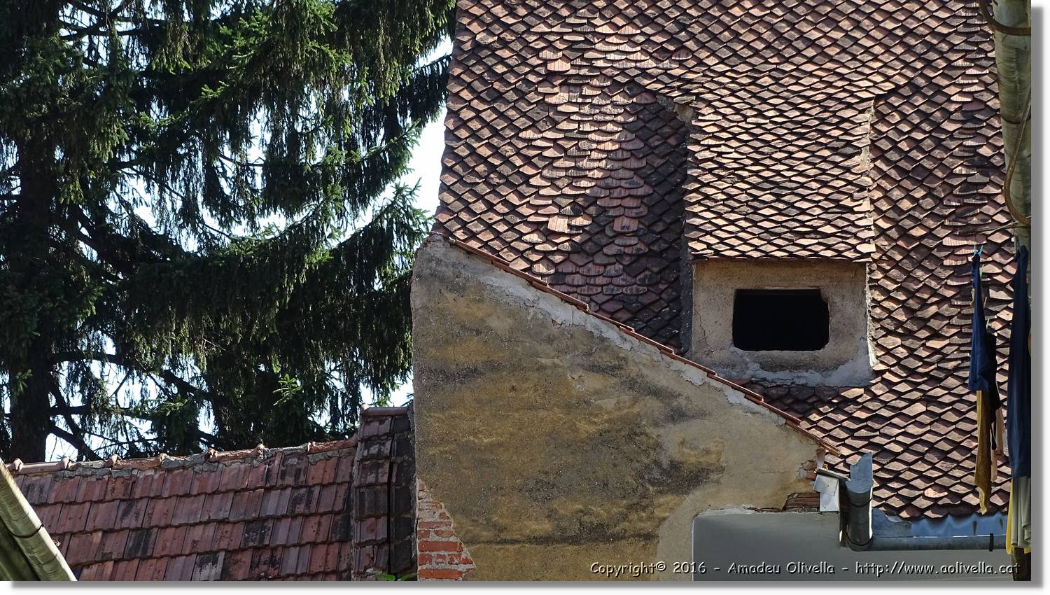 Brasov_054.jpg