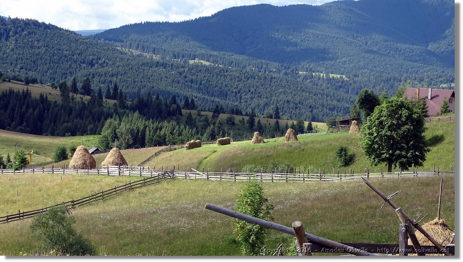 Romania_062.jpg