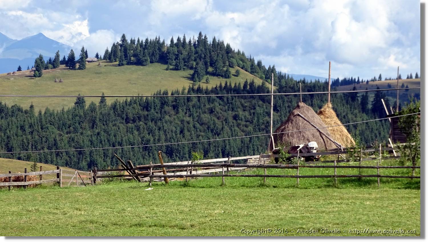 Romania_065.jpg
