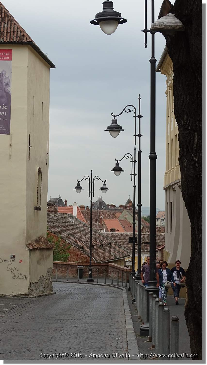 Sibiu_154.jpg