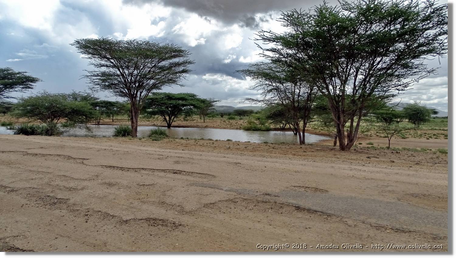 1-Turkana_080.jpg