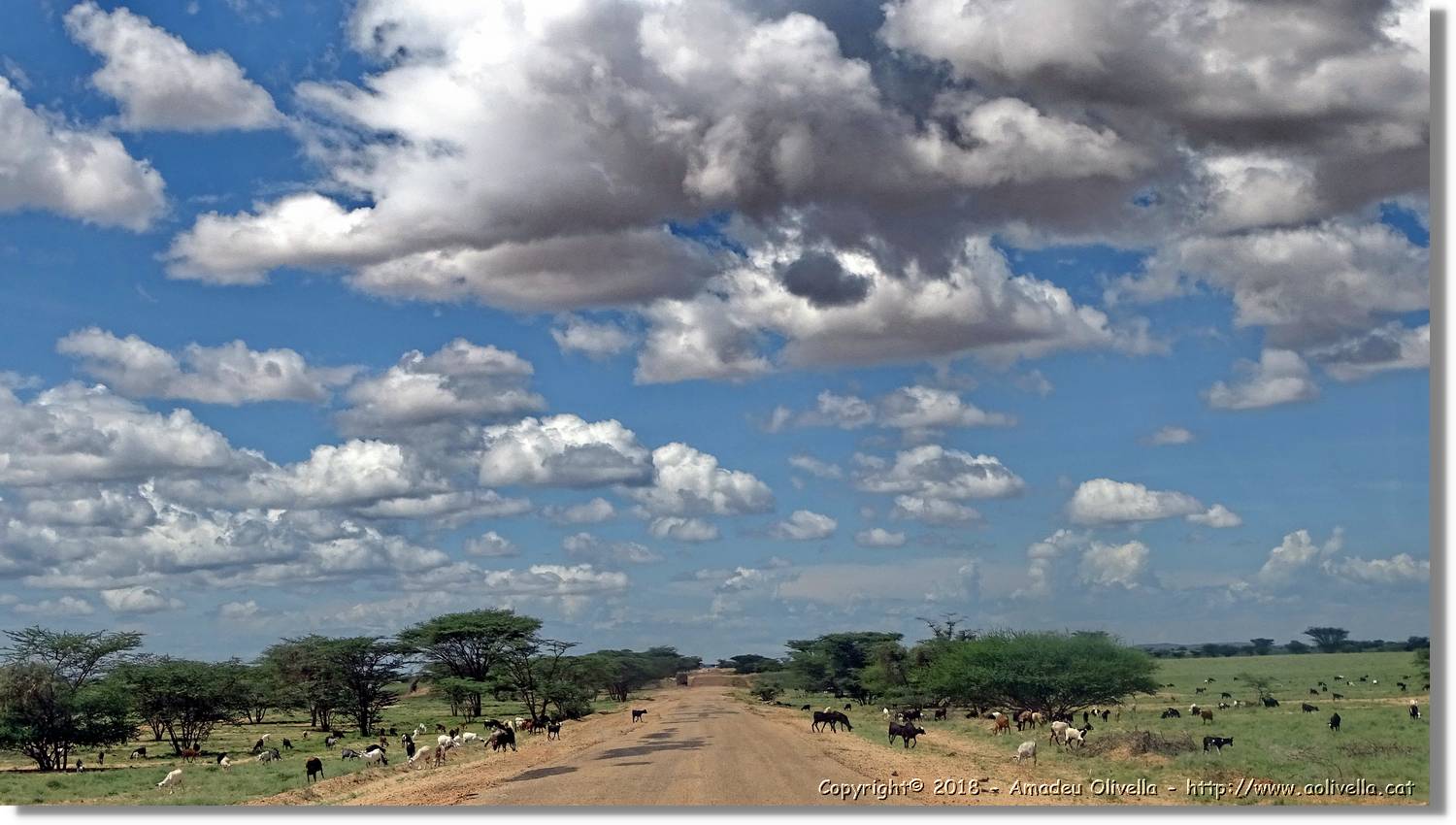 1-Turkana_081.jpg