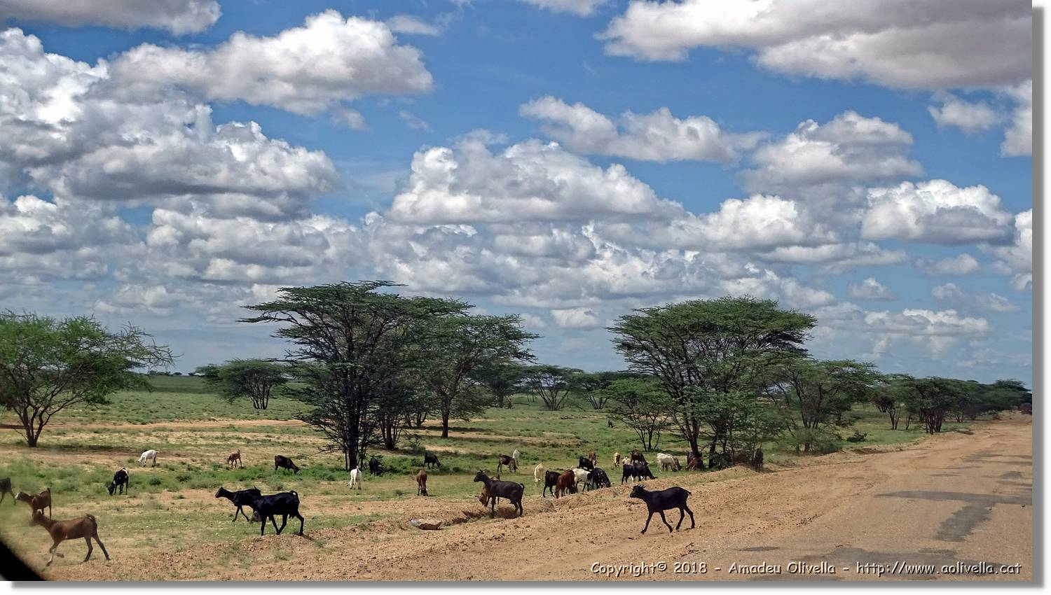 1-Turkana_082.jpg