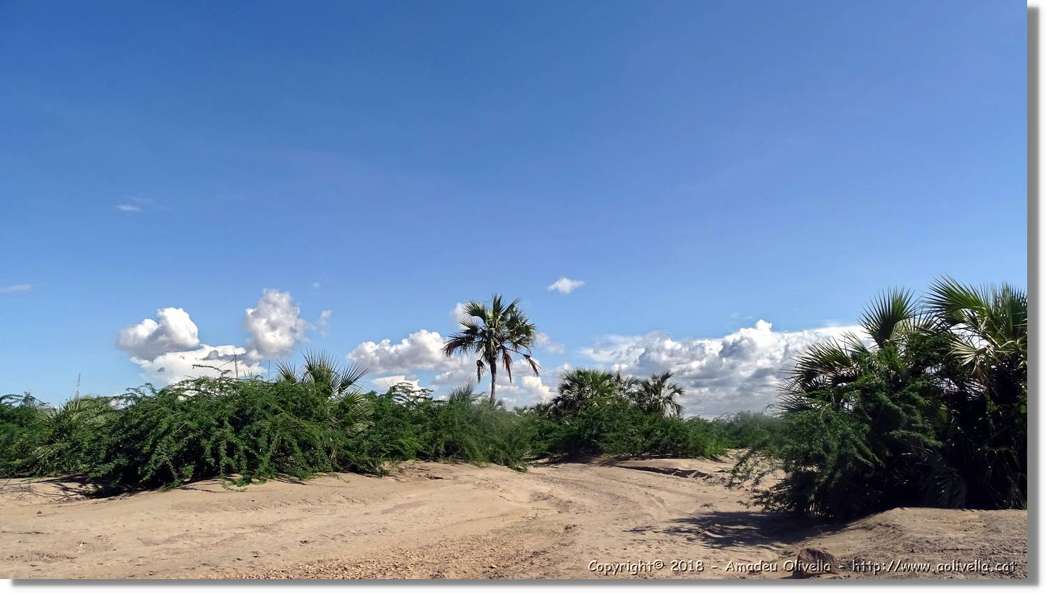 1-Turkana_090.jpg