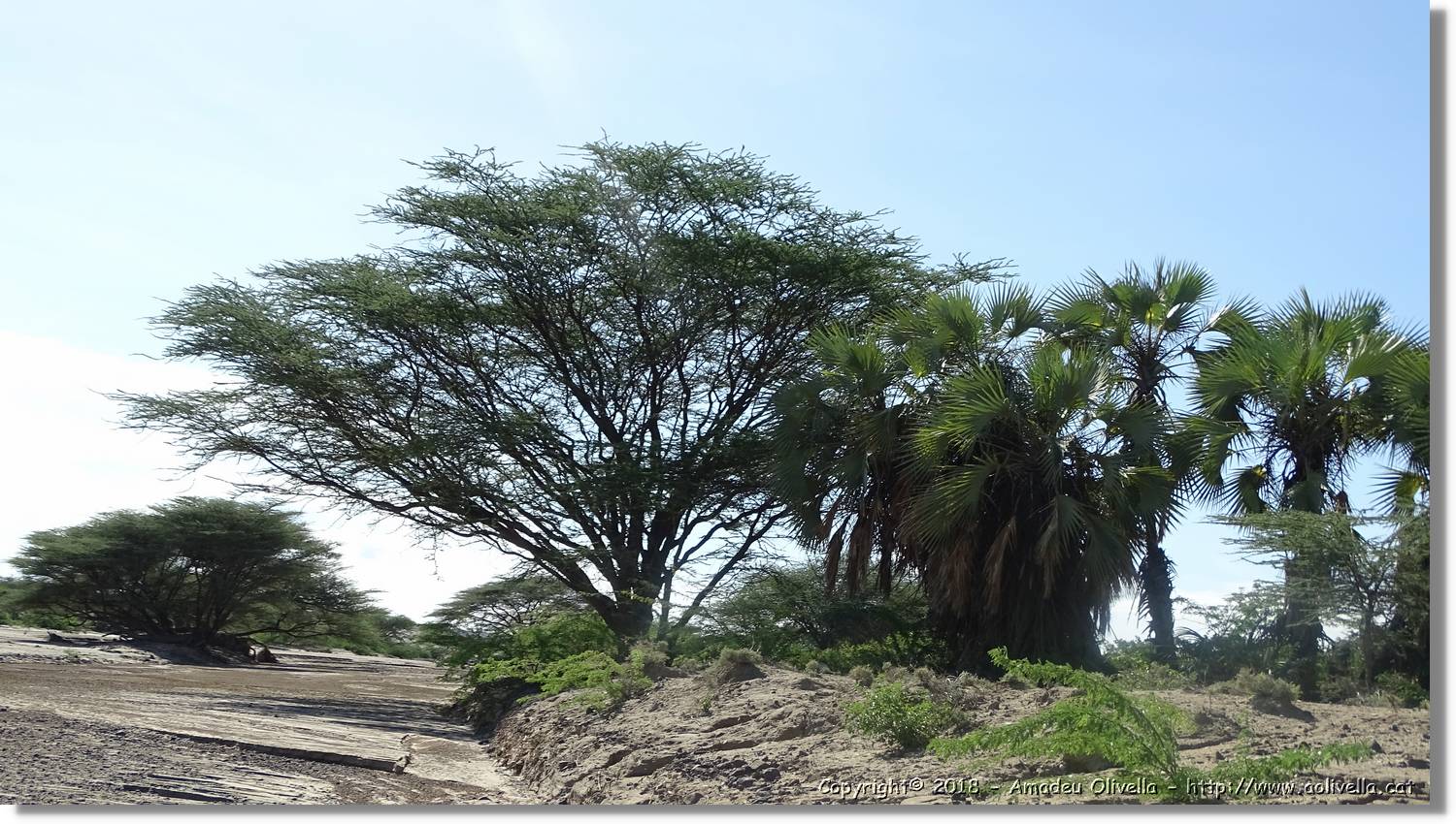 1-Turkana_094.jpg
