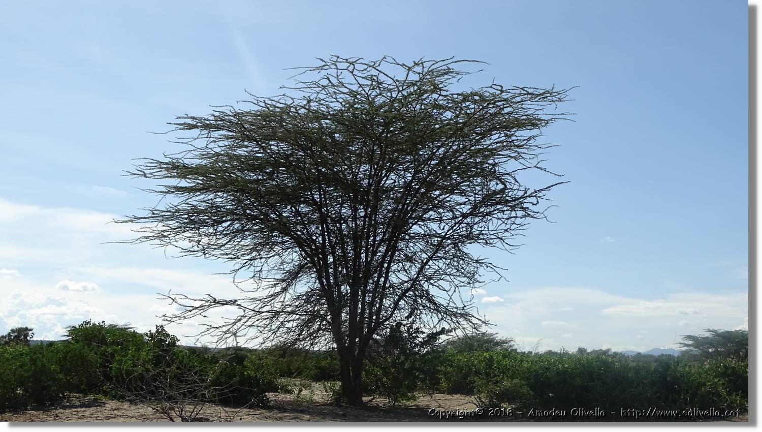 1-Turkana_095.jpg