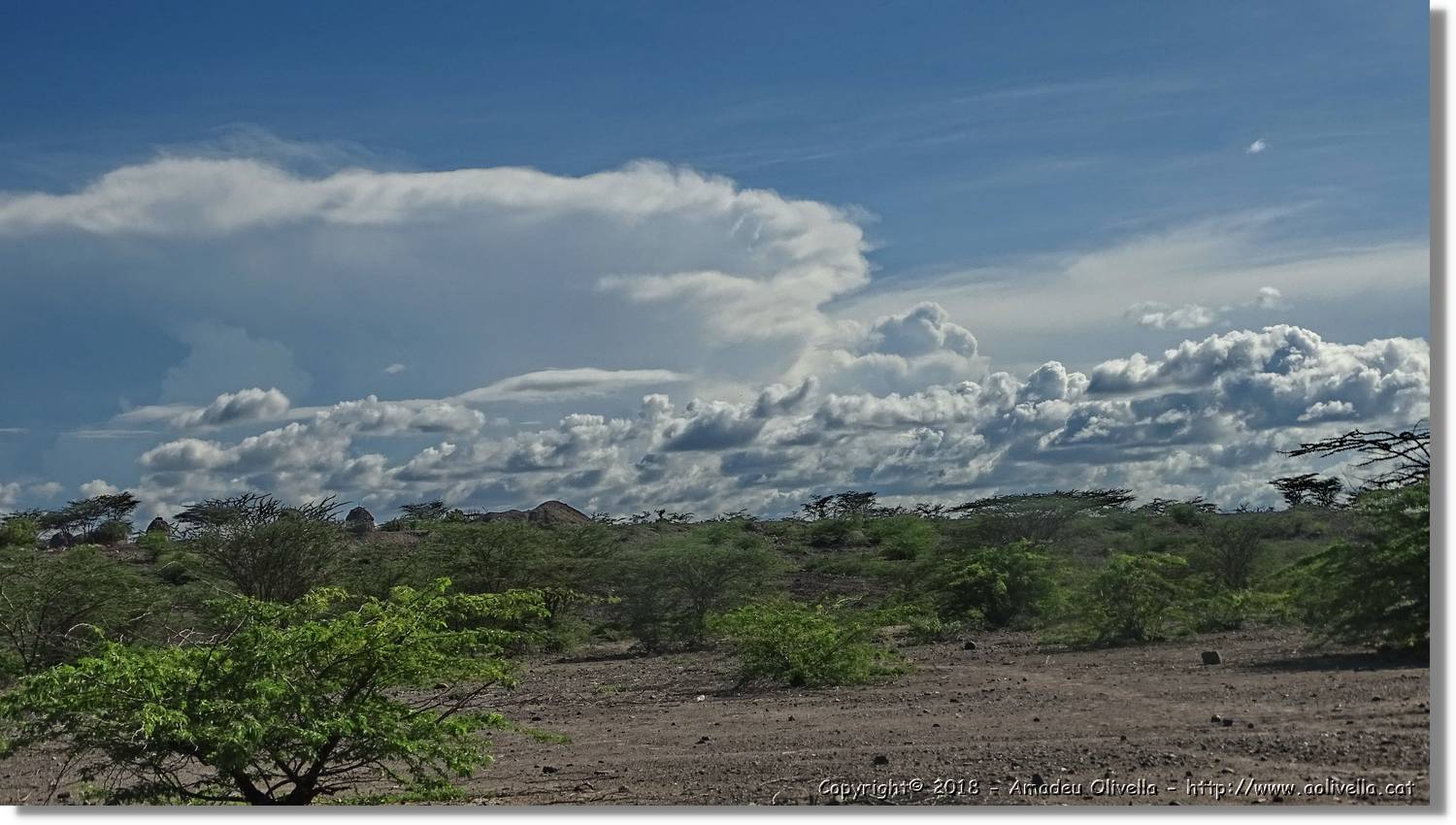 1-Turkana_098.jpg