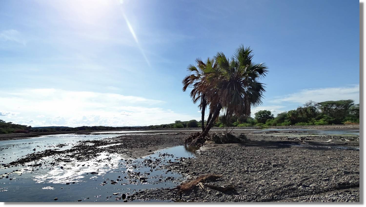 1-Turkana_101.jpg