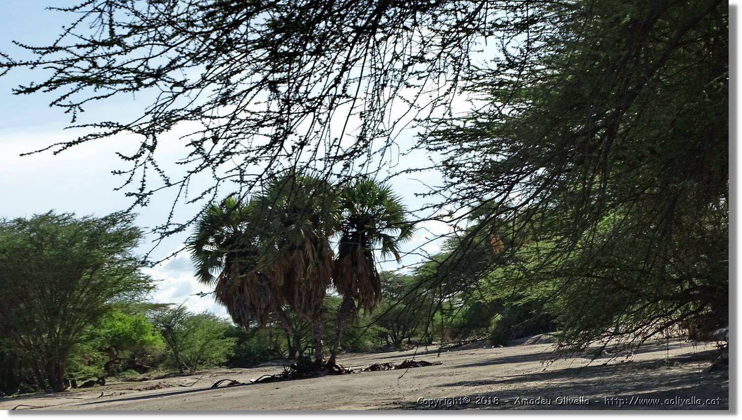 1-Turkana_103.jpg