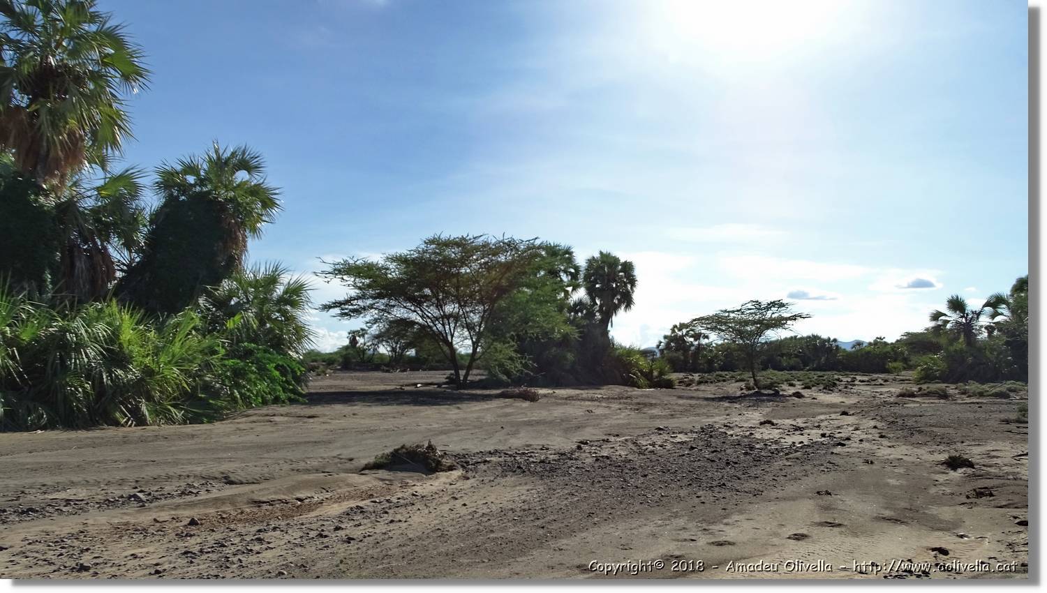 1-Turkana_111.jpg
