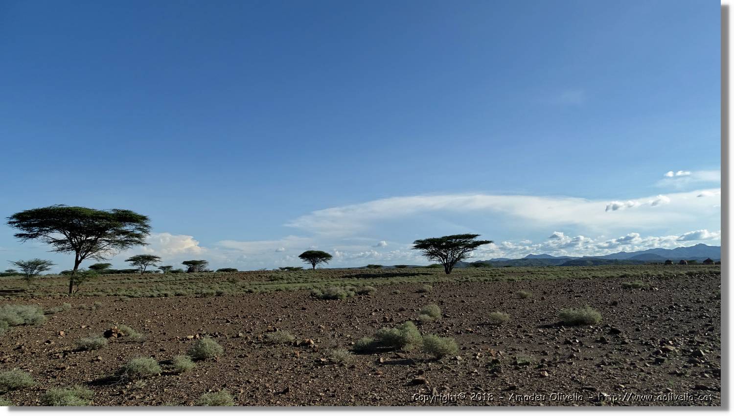 1-Turkana_115.jpg