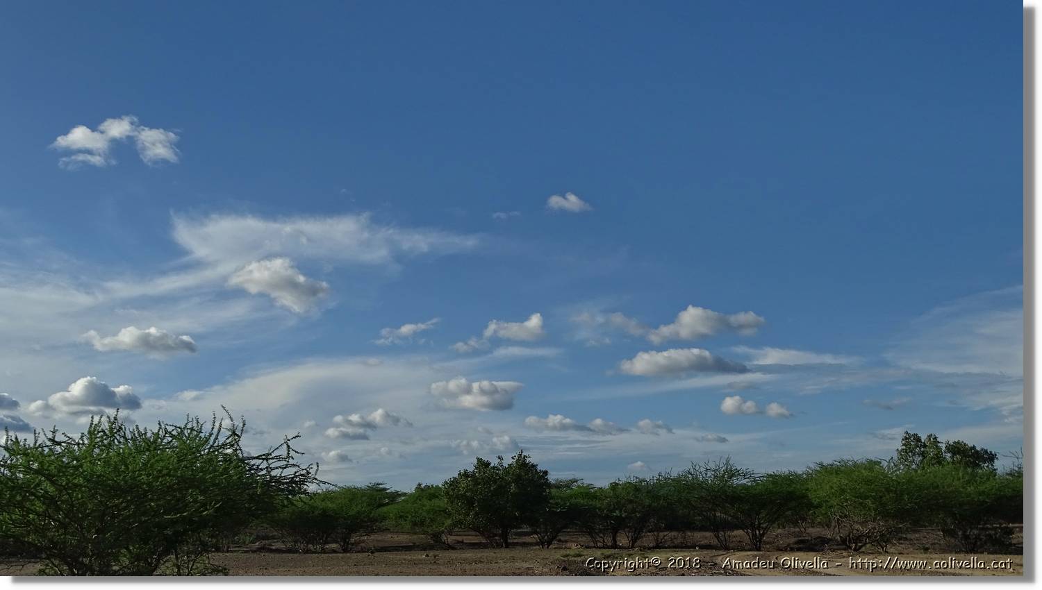 1-Turkana_118.jpg