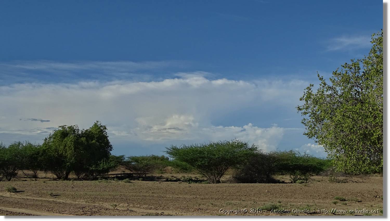 1-Turkana_119.jpg