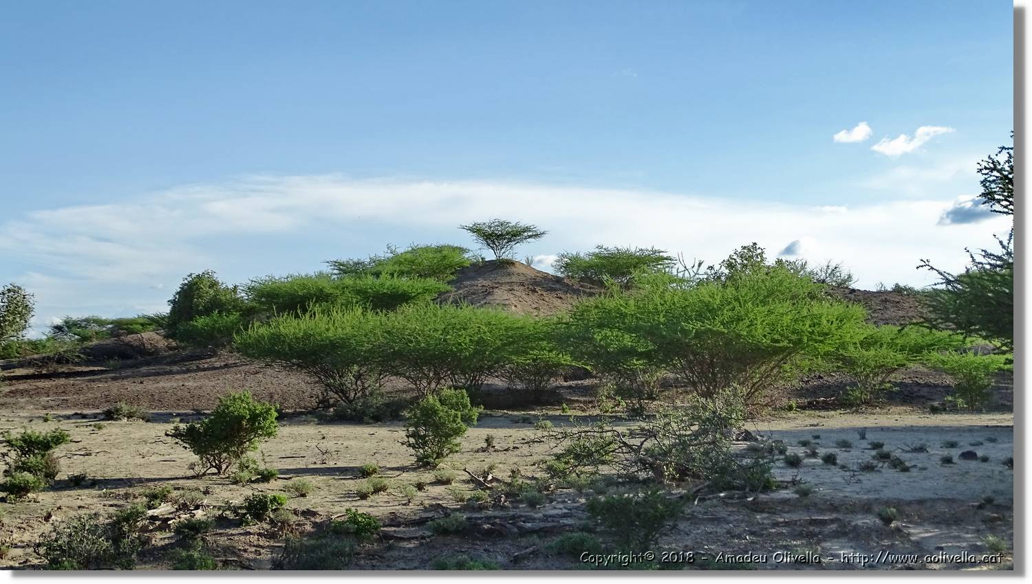 1-Turkana_120.jpg