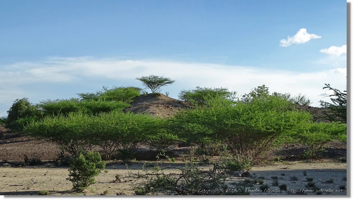 1-Turkana_125.jpg