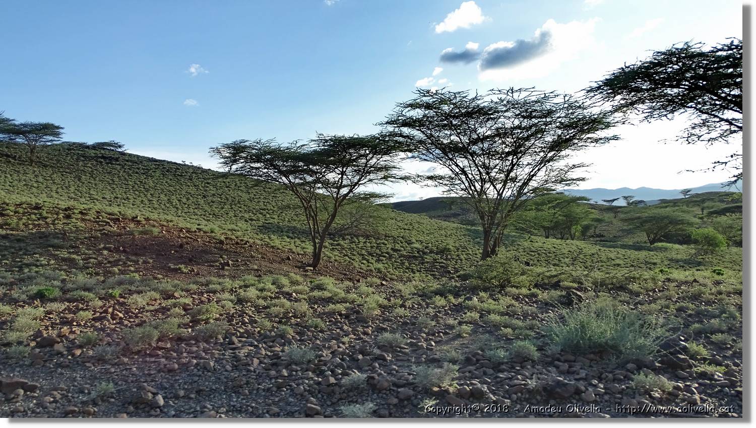1-Turkana_128.jpg