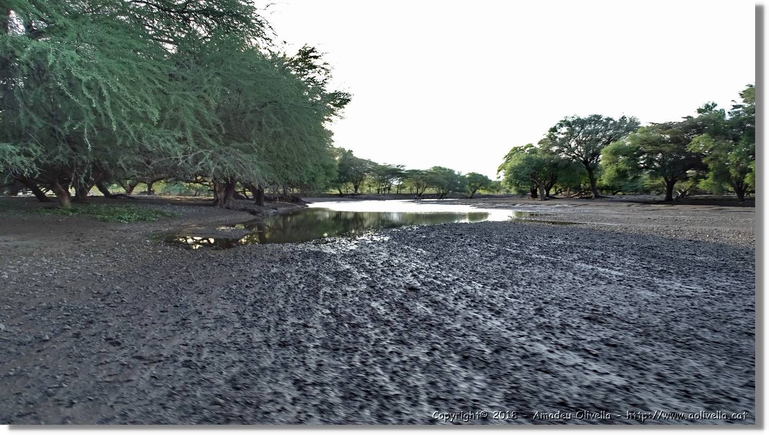1-Turkana_131.jpg