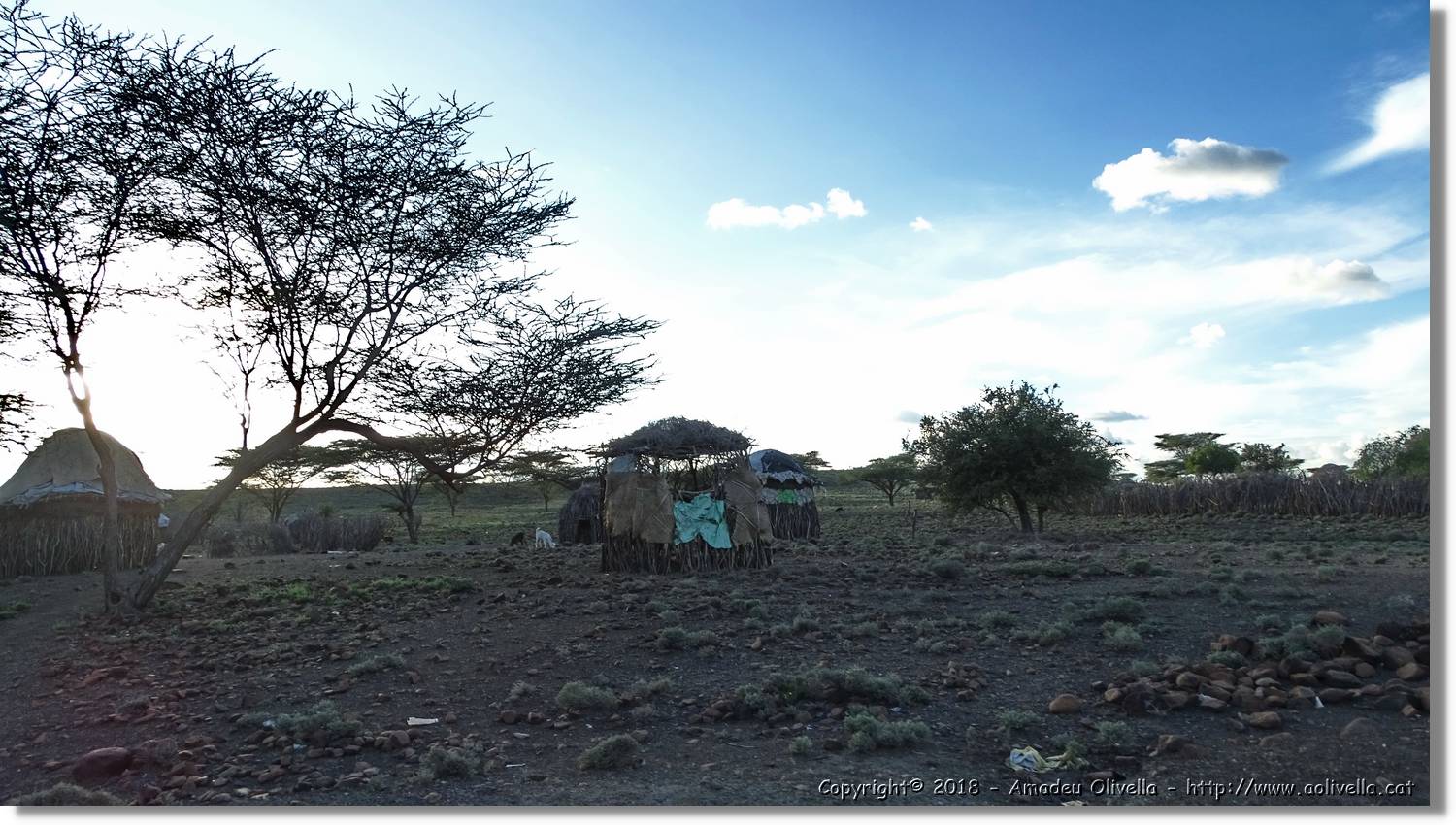 1-Turkana_135.jpg