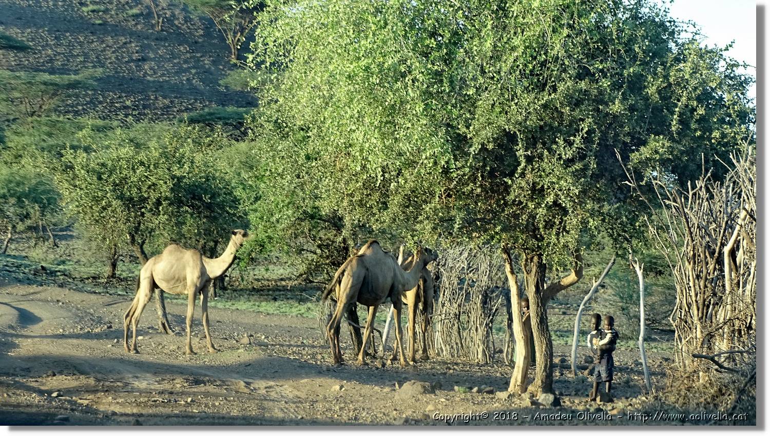 1-Turkana_136.jpg