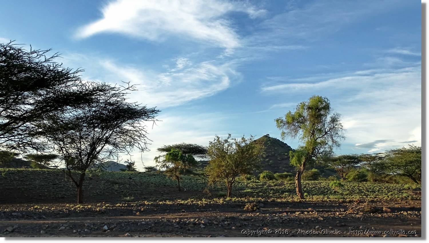1-Turkana_141.jpg
