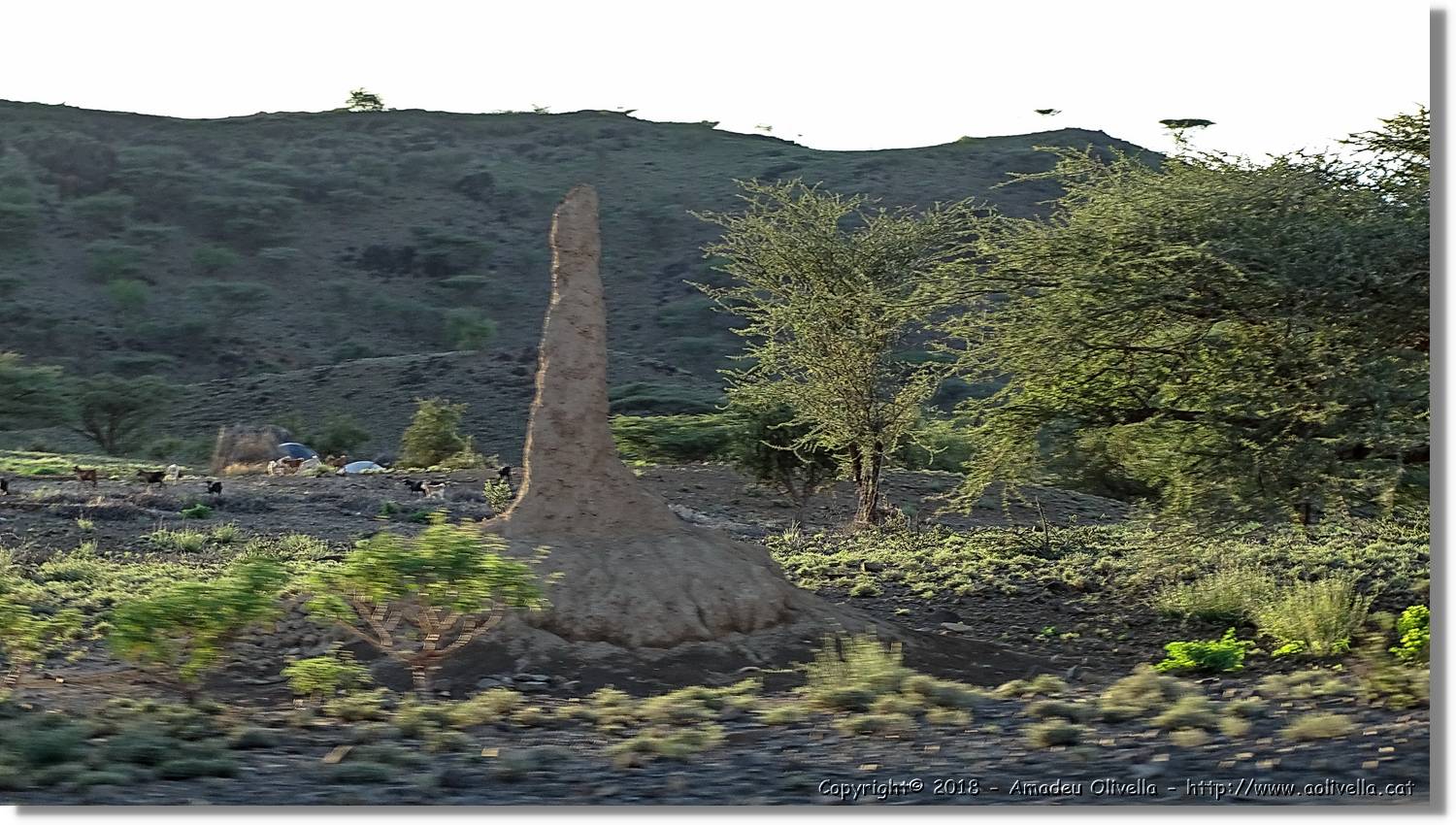 1-Turkana_143.jpg
