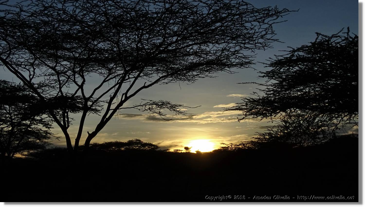 1-Turkana_147.jpg