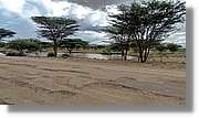 1-Turkana_080.jpg