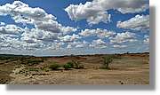 1-Turkana_083.jpg