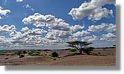 1-Turkana_084.jpg